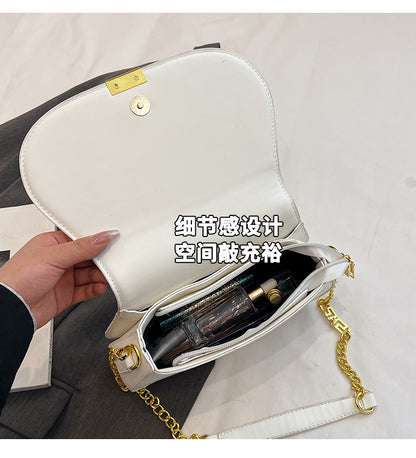 Double Chain Shoulder Bag